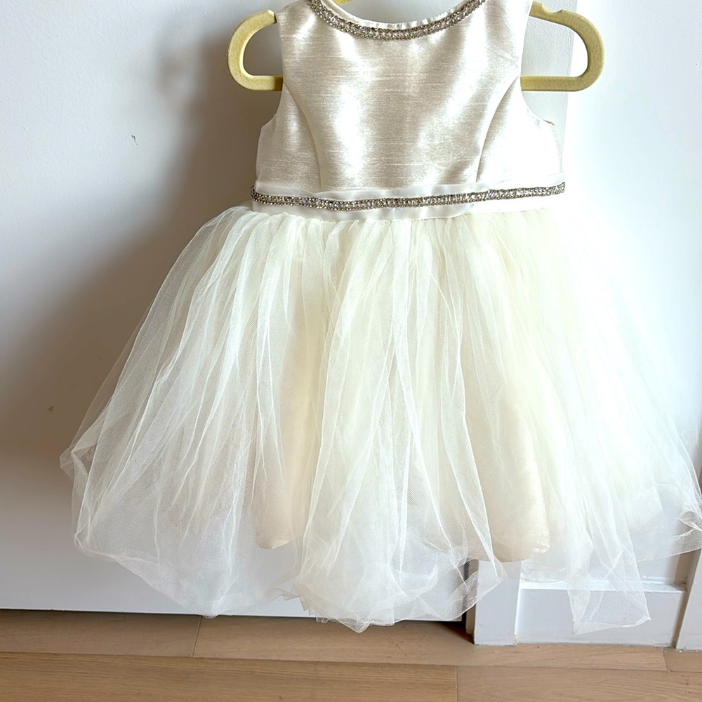 Toddler Flower Girl Tulle  Dress from David’s Bridal.